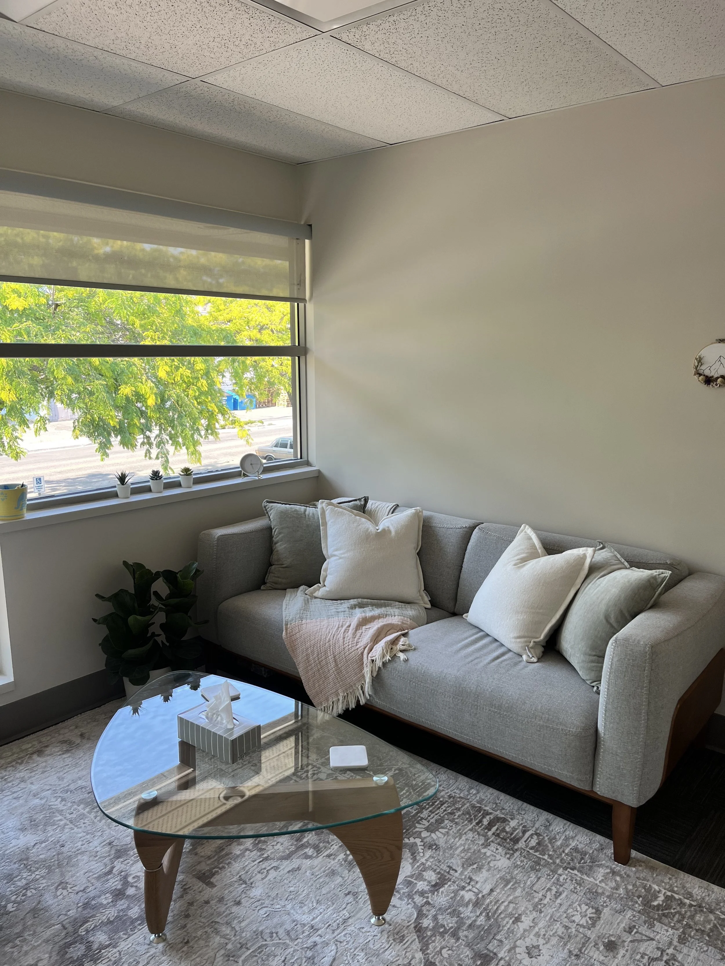 Calm therapy office at Mind Movement Therapy